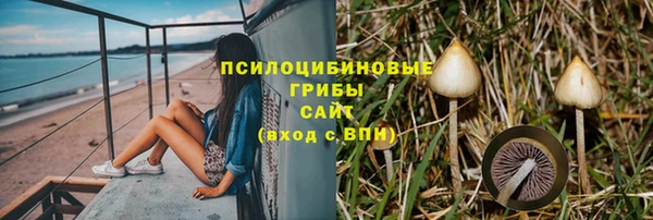 mdma Горняк